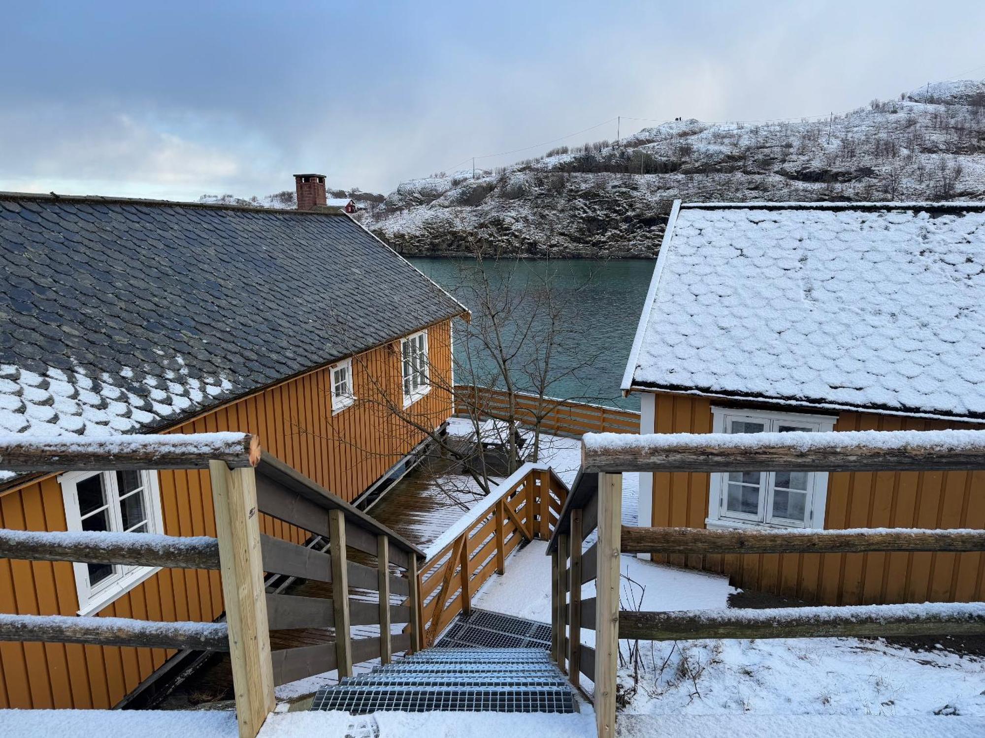 Sakrisoy Rorbuer Hotel Reine Buitenkant foto